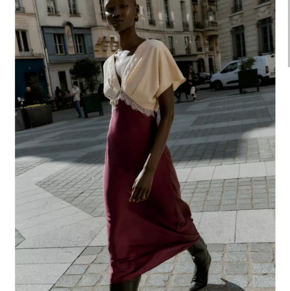 Zara Burgundy and Cream Maxi Skirt